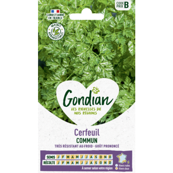 Cerfeuil Commun - GONDIAN