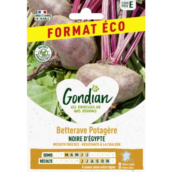 Betterave potagère Noire Plate d'Egypte - GONDIAN