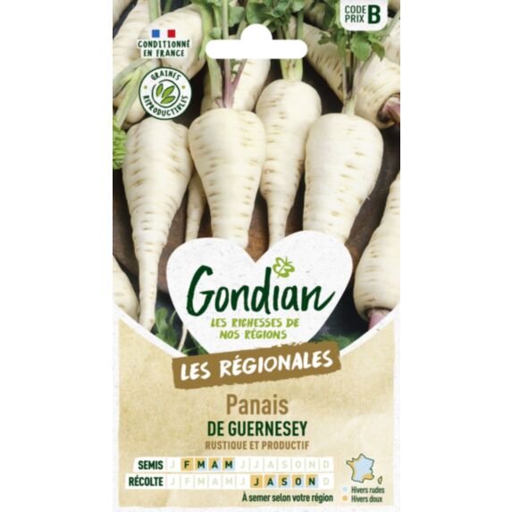 Panais de Guernesey - GONDIAN
