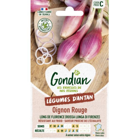 Oignon Rossa di Firenze (Rouge Long de Florence) - GONDIAN