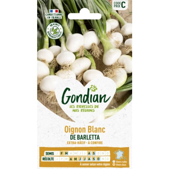 Oignon Extra-Hâtif de Barletta - GONDIAN