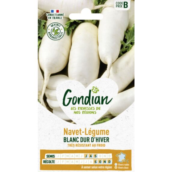 Navet-Légume Blanc Dur d'Hiver - GONDIAN