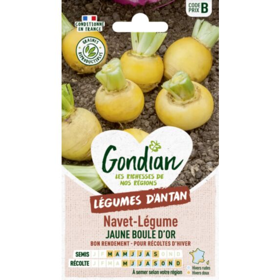 Navet-Légume Jaune Boule d'Or - GONDIAN