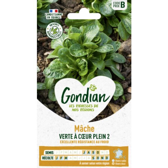Mâche Verte à Cœur Plein 3 - GONDIAN