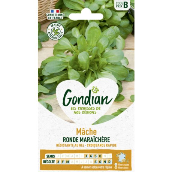Mâche Ronde Maraîchère - GONDIAN