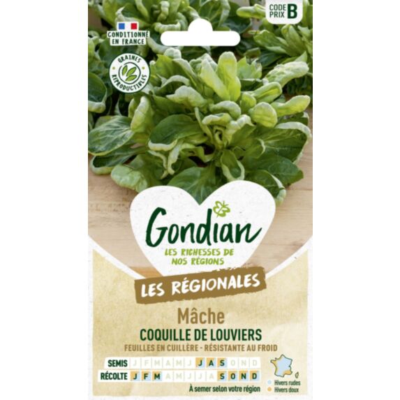 Mâche Coquille de Louviers - GONDIAN