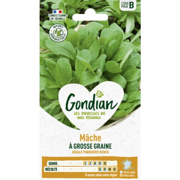 Mâche à Grosse Graine - GONDIAN