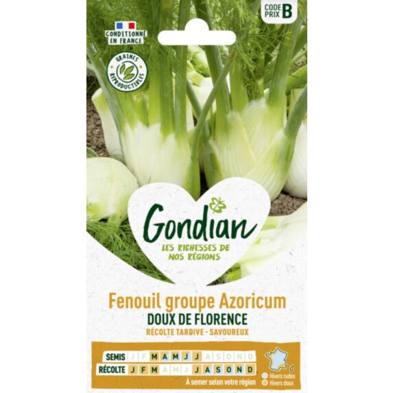 Fenouil groupe azoricum Doux de Florence - GONDIAN