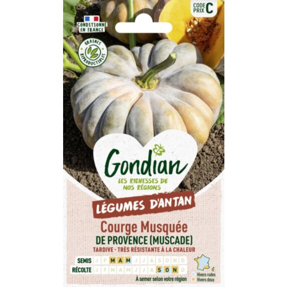 Courge Musquée Muscade (d'Hiver de Provence) - GONDIAN