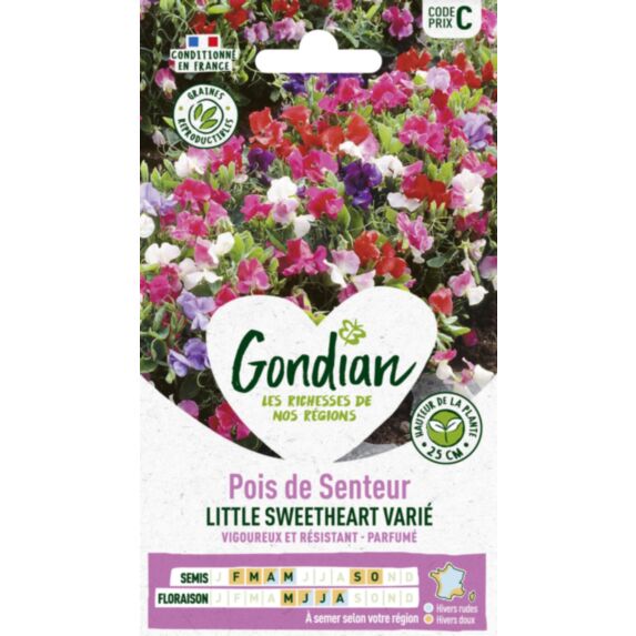 Pois de Senteur Little Sweetheart - GONDIAN