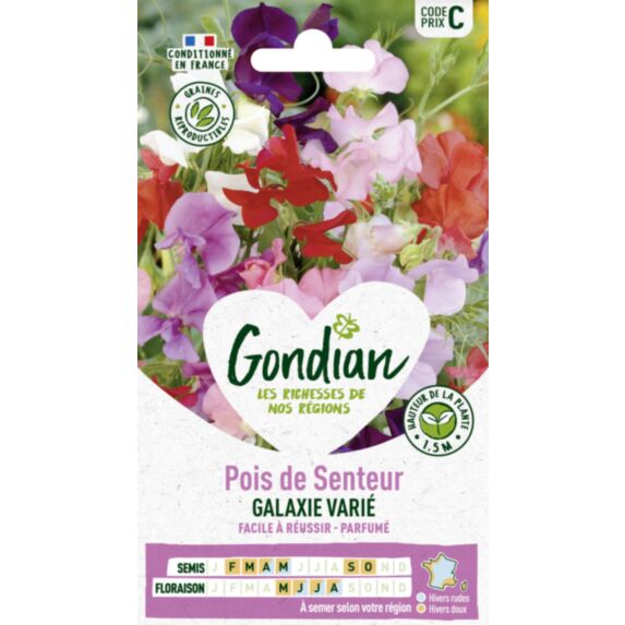 Pois de Senteur Galaxie Varié - GONDIAN