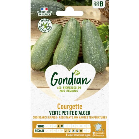 Courgette Verte Petite d'Alger - GONDIAN