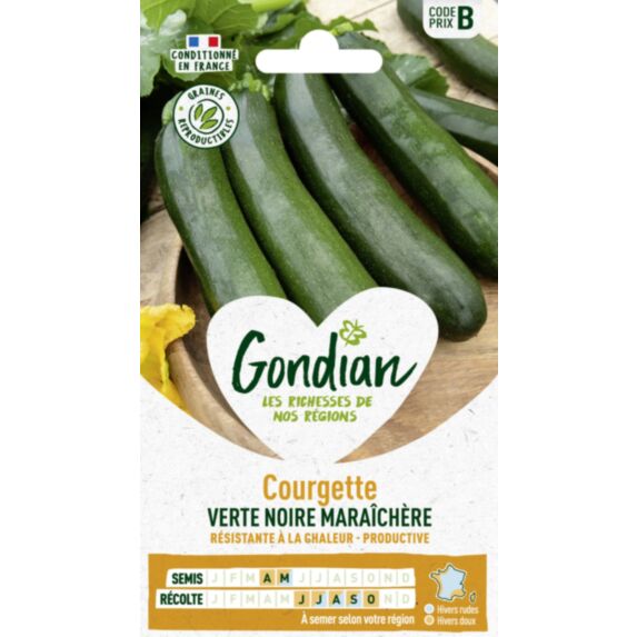 Courgette Verte Noire Maraîchère - GONDIAN