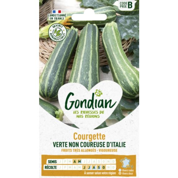 Courgette Verte Non Coureuse d'Italie - GONDIAN