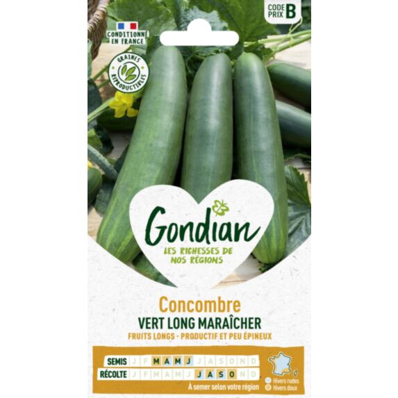 Concombre Vert Long Maraîcher - GONDIAN