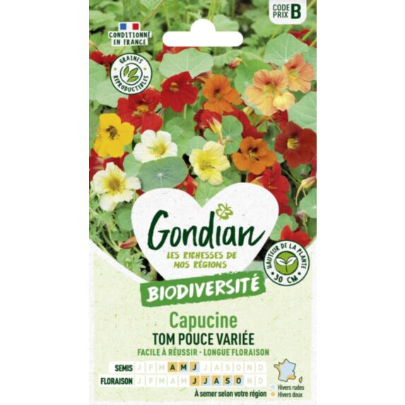 Capucine Tom Pouce Variée - GONDIAN