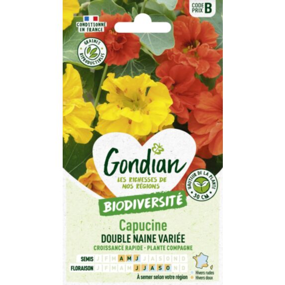 Capucine Naine Double Variée - GONDIAN