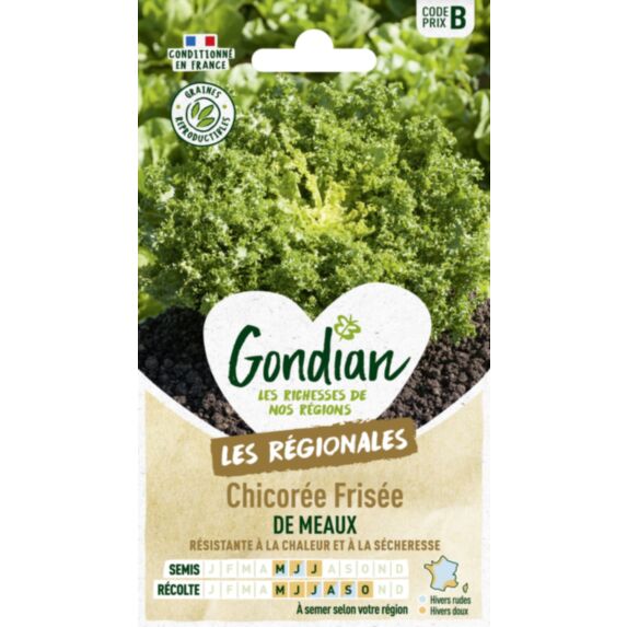 Chicorée de Meaux - GONDIAN