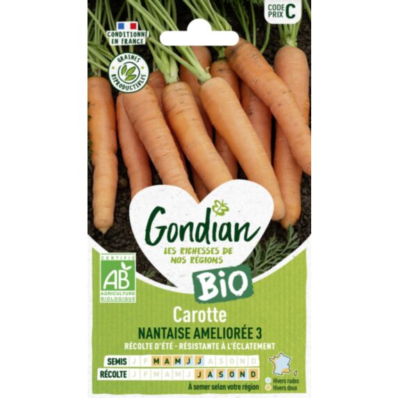 Carotte Nantaise Améliorée 3 Bio - GONDIAN