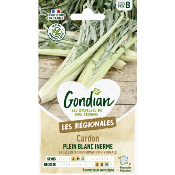 Cardon Plein Blanc Inerme - GONDIAN