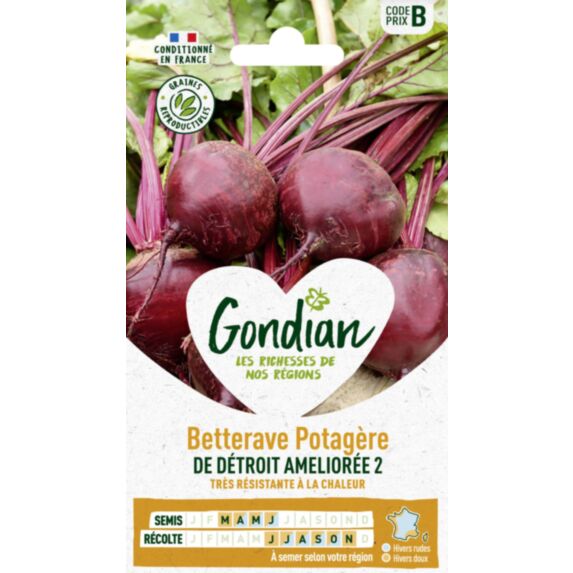 Betterave potagère de Détroit 2 - GONDIAN