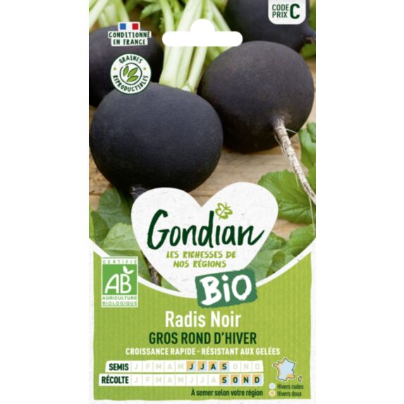 Radis Noir Noir Gros Rond d'Hiver Bio - GONDIAN
