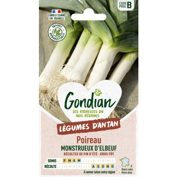 Poireau Monstrueux d'Elbeuf - GONDIAN