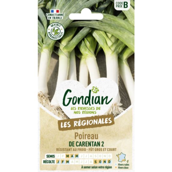 Poireau de Carentan 2 - GONDIAN