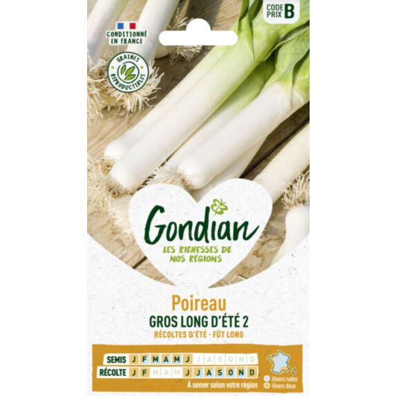 Poireau Gros Long d'Eté 2 - GONDIAN