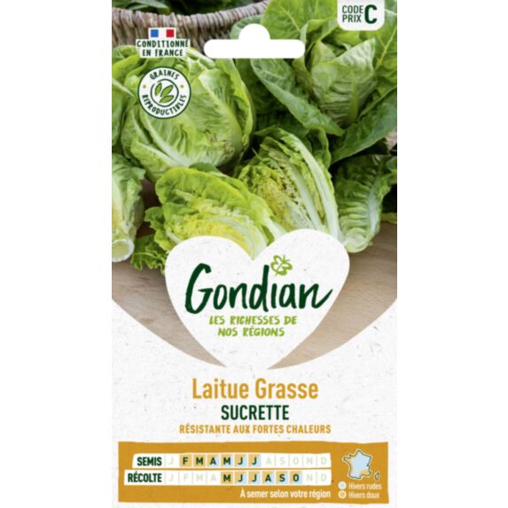Laitue Sucrine - GONDIAN
