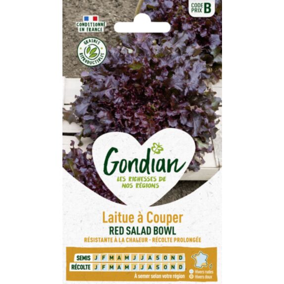 Laitue Salad Bowl Rouge - GONDIAN