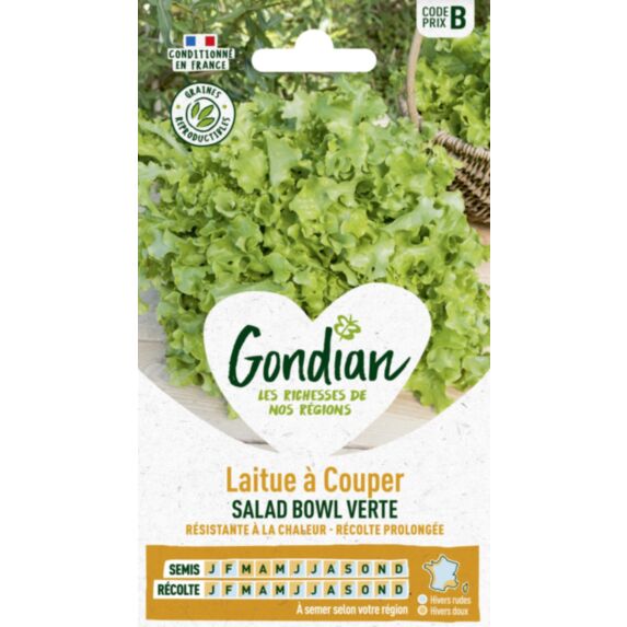 Laitue Salad Bowl Verte - GONDIAN