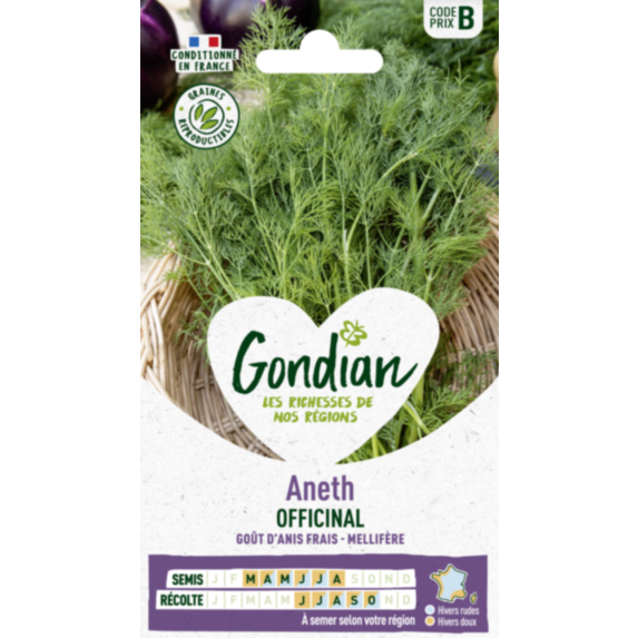 Aneth Officinal - GONDIAN