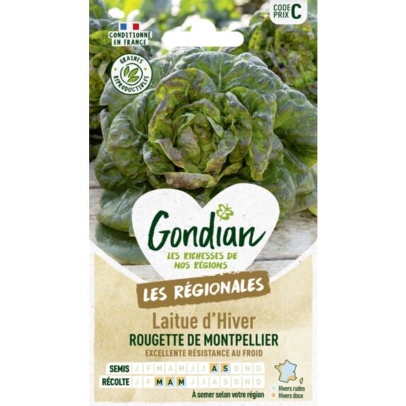 Laitue Rougette de Montpellier - GONDIAN