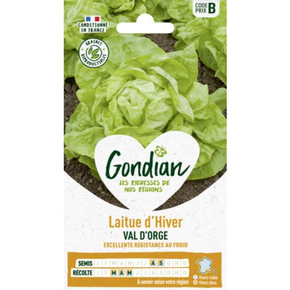 Laitue Val d'Orge - GONDIAN