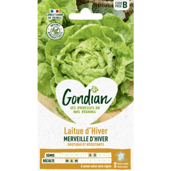 Laitue Merveille d'Hiver - GONDIAN