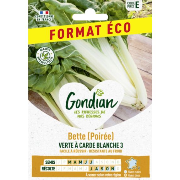 Poirée / Bette Verte à Carde Blanche 3 - GONDIAN