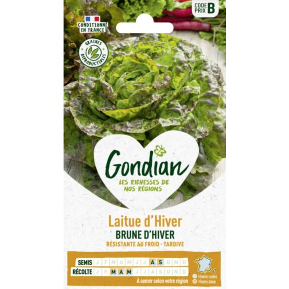 Laitue Brune d'Hiver - GONDIAN