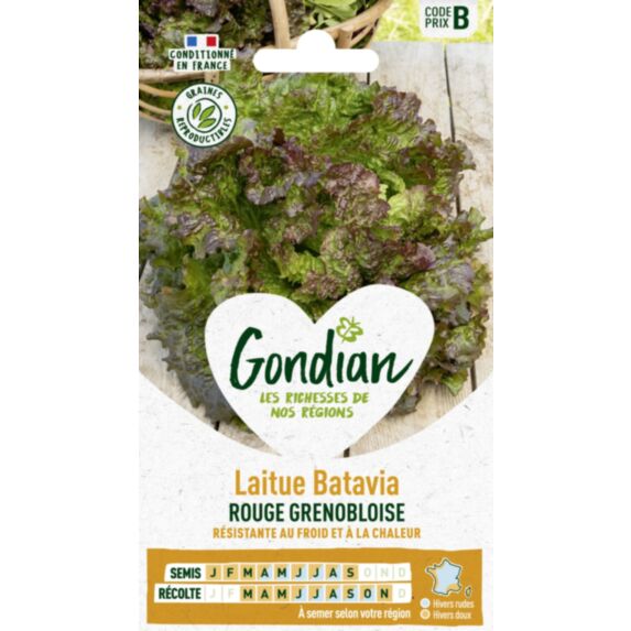 Laitue Rouge Grenobloise - GONDIAN