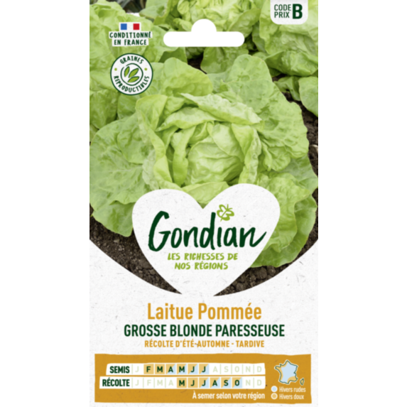 Laitue Grosse Blonde Paresseuse - GONDIAN