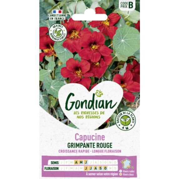 Capucine Lobb Spit Fire - GONDIAN