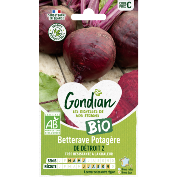 Betterave potagère de Détroit 2 Bio - GONDIAN