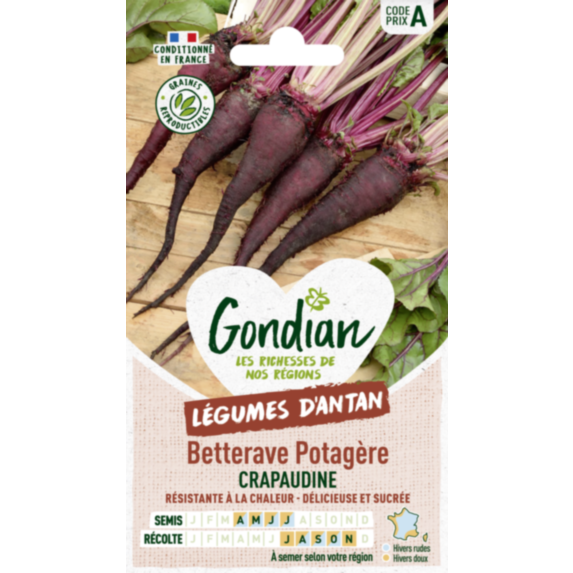 Betterave potagère Crapaudine - GONDIAN