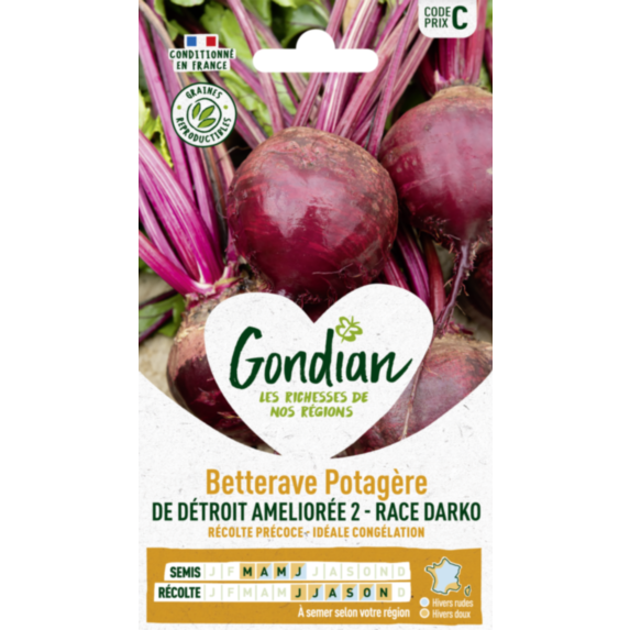 Betterave potagère de Détroit 2 race Darko - GONDIAN