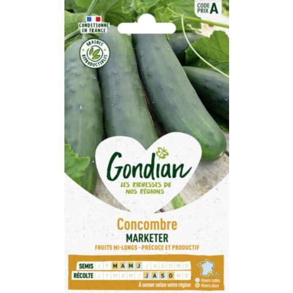 Concombre Marketer - GONDIAN