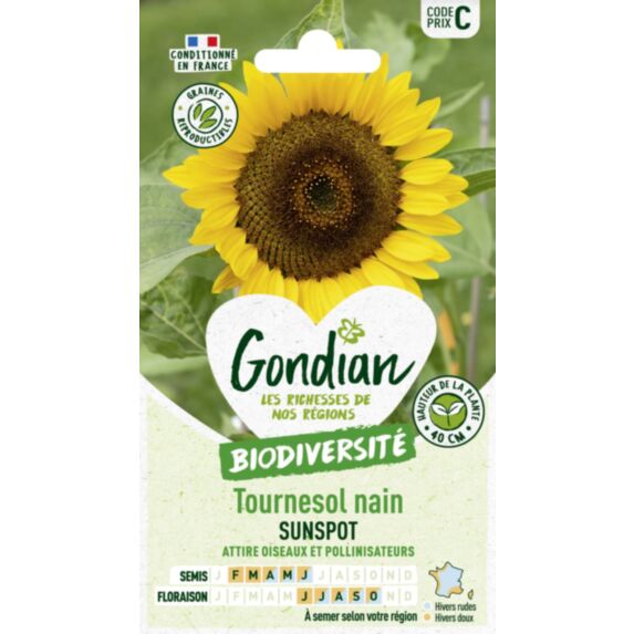 Tournesol Nain Sunspot - GONDIAN
