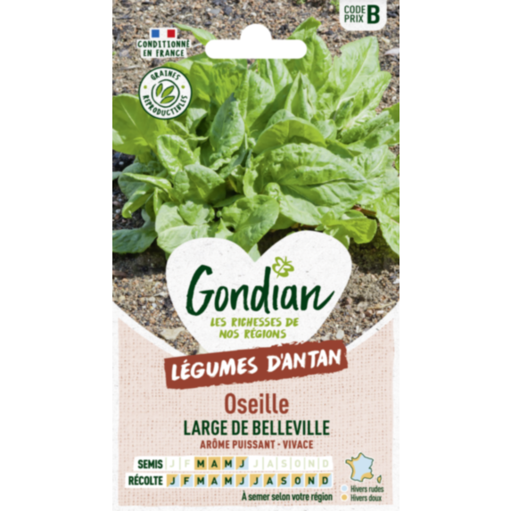 Oseille Large de Belleville - GONDIAN