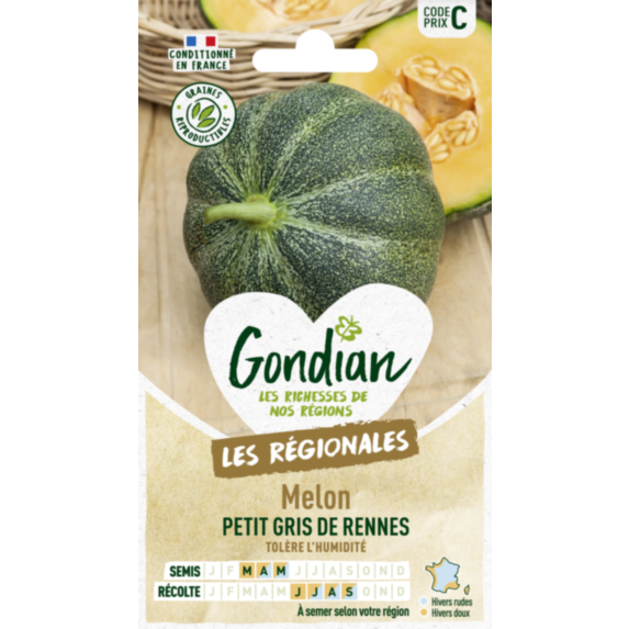 Melon Petit Gris de Rennes - GONDIAN