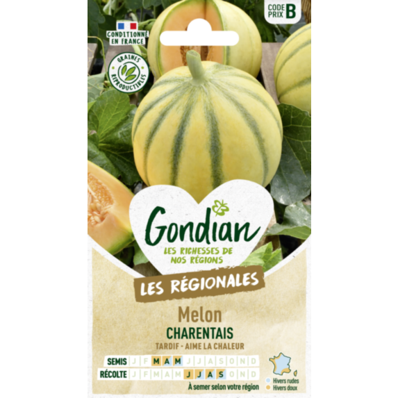Melon Charentais - GONDIAN