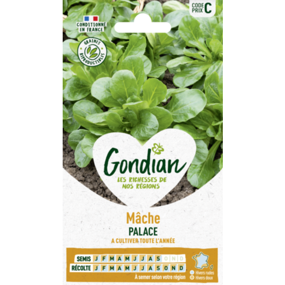 Mâche Palace - GONDIAN